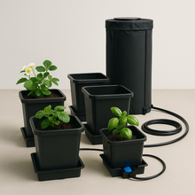 4-Pot Hydroponics Starter Kit | Gravity-Fed, Pump-Free