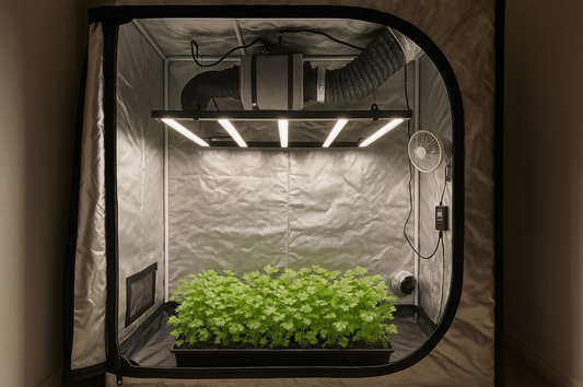 LED Layouts by Tent Size (2×2, 2×4, 3×3, 4×4)