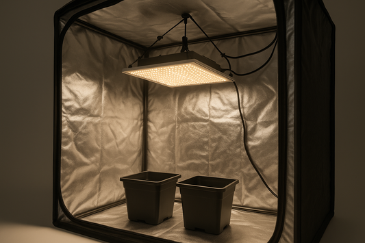 LED panel hanging inside a small grow tent evenly lighting two black pots.
