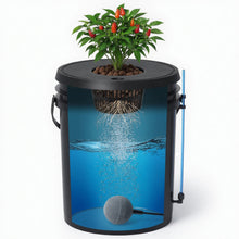 Cutaway view of 5 gallon DWC hydroponic bucket showing water, air bubbles, air stone, and plant roots