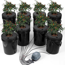 Full 8 bucket DWC hydroponic system with vibrant chili pepper plants ready for indoor or outdoor growing