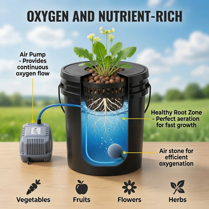 Cutaway view of DWC hydroponic system showing air pump and root zone
