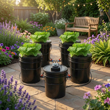 DWC Hydroponic System placed in a backyard garden setting